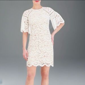 NEW Vince Camuto Ivory Lace Shift Dress Scallop Hem Elbow Length Sleeves Size 8